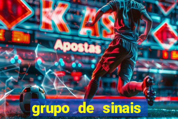 grupo de sinais fortune rabbit